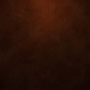 Brown Leather Texture 1